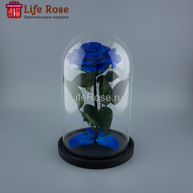 Синяя роза в колбе Premium X