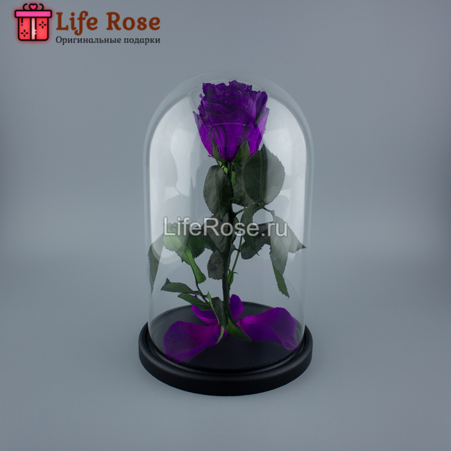 Фиолетовая роза в колбе Premium