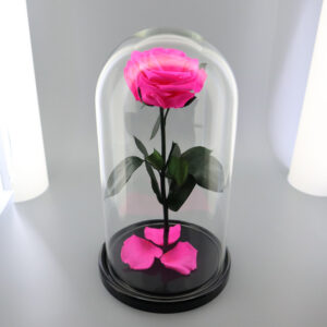 Розовая роза в колбе Premium X 30
