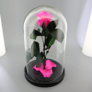 Розовая роза в колбе Premium 28